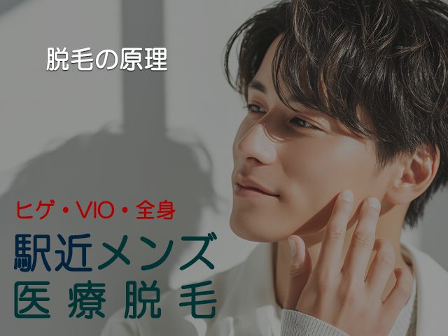アイキャッチ画像脱毛の原理