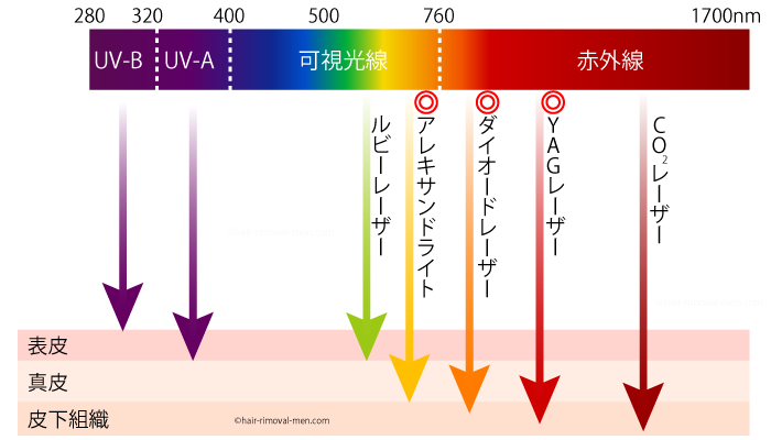レーザー脱毛機のレーザー波長図